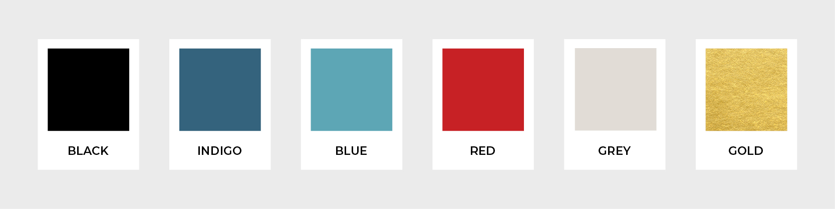 black, blue, red, grey and gold brand color palette for business coach